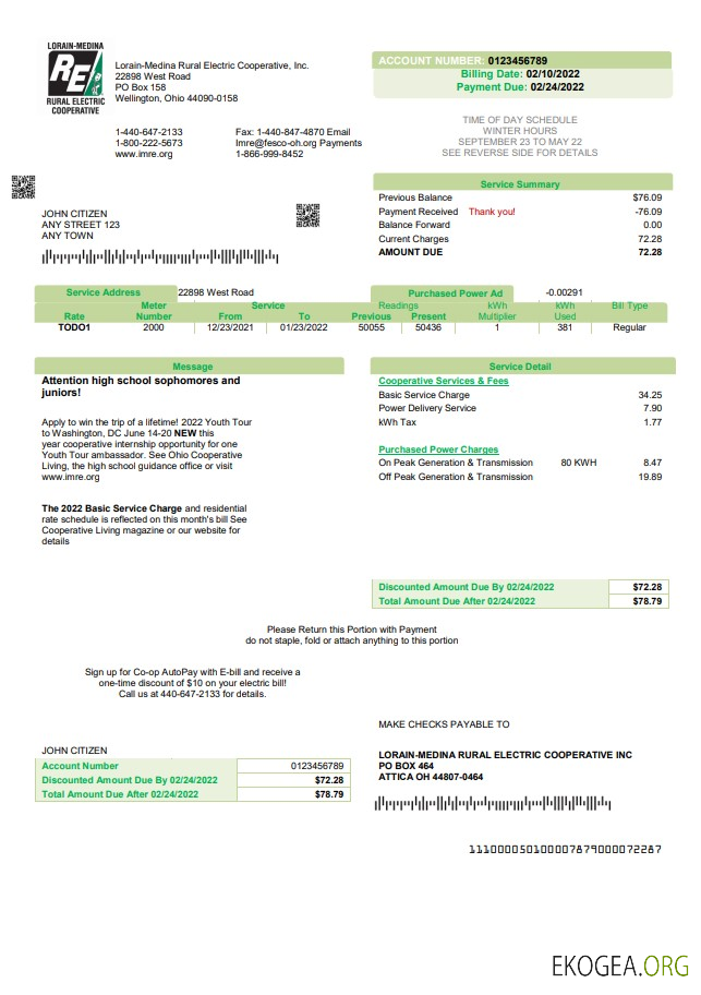 USA Ohio Lorain Medina Rural Electric utility bill template in Word and PDF format